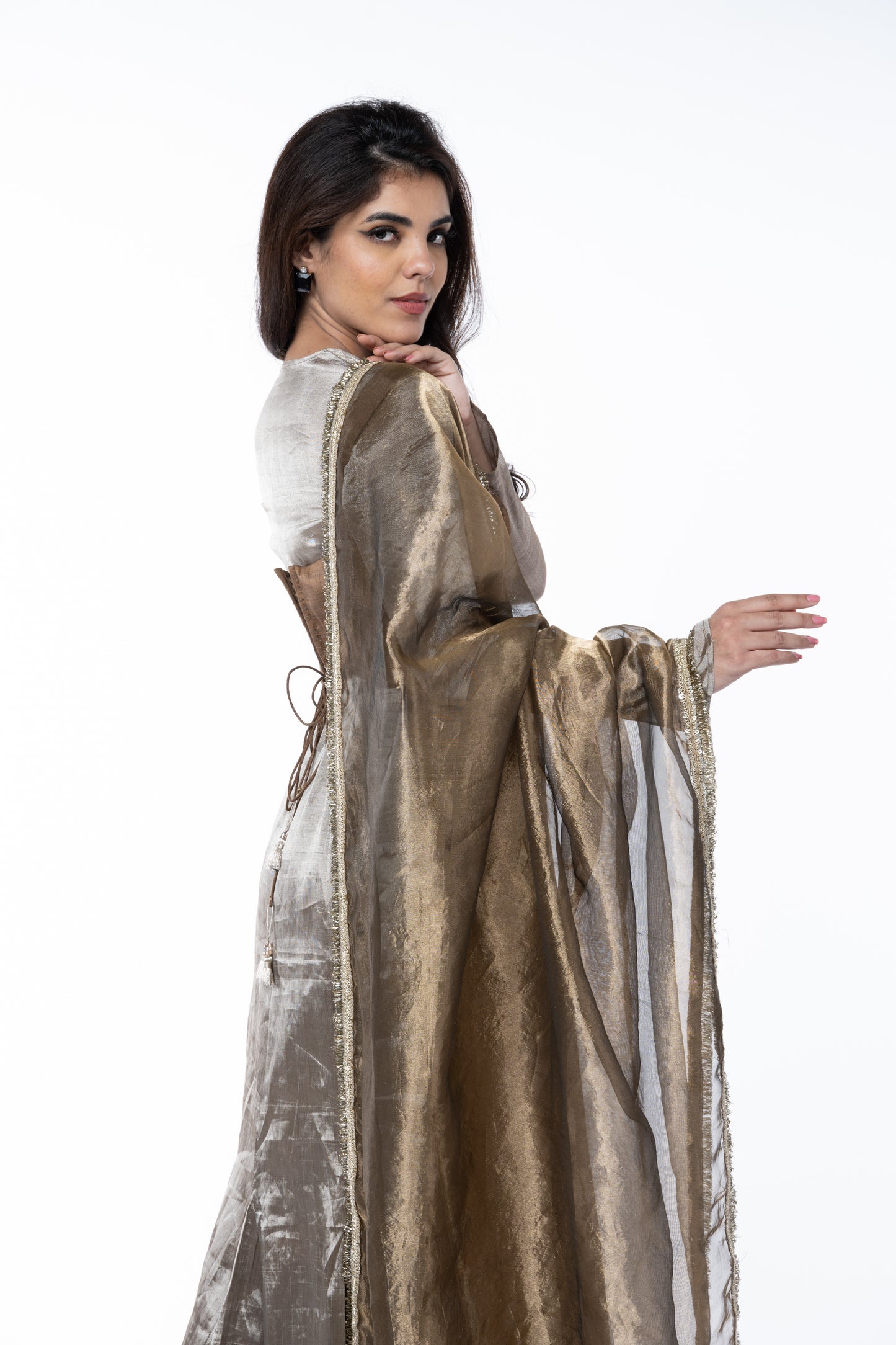 Silver Banarasi Dress