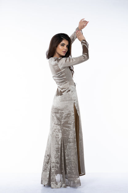 Silver Banarasi Dress